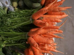 Почему морковь помогает росту?