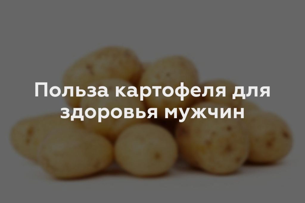 Польза картофеля для здоровья мужчин