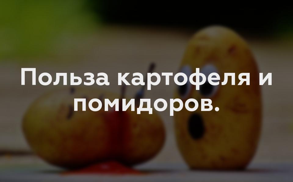 Польза картофеля и помидоров.