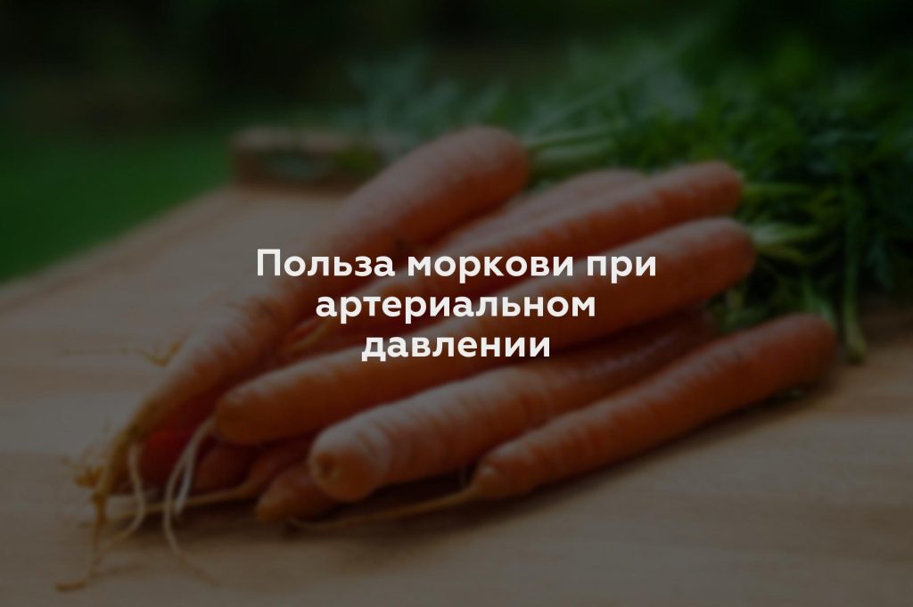 Польза моркови при артериальном давлении