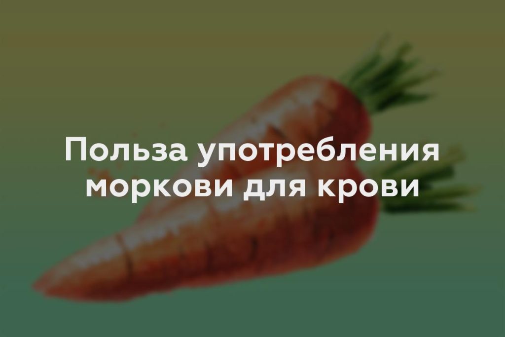 Польза употребления моркови для крови