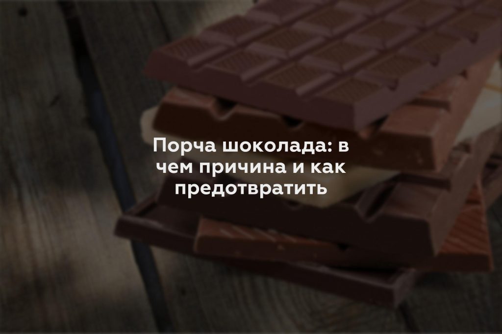 Порча шоколада: в чем причина и как предотвратить