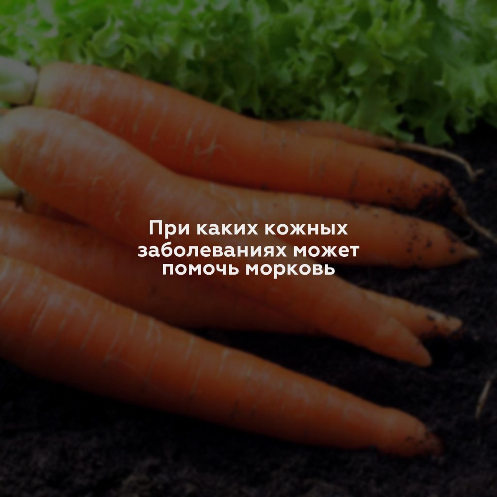 При каких кожных заболеваниях может помочь морковь