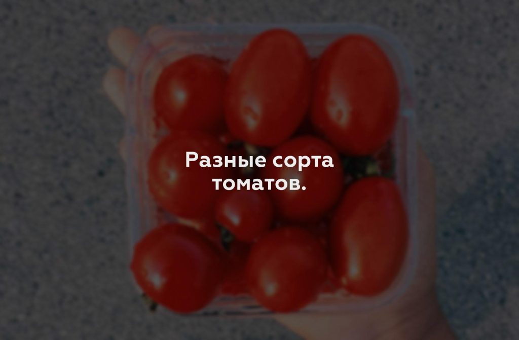 Разные сорта томатов.