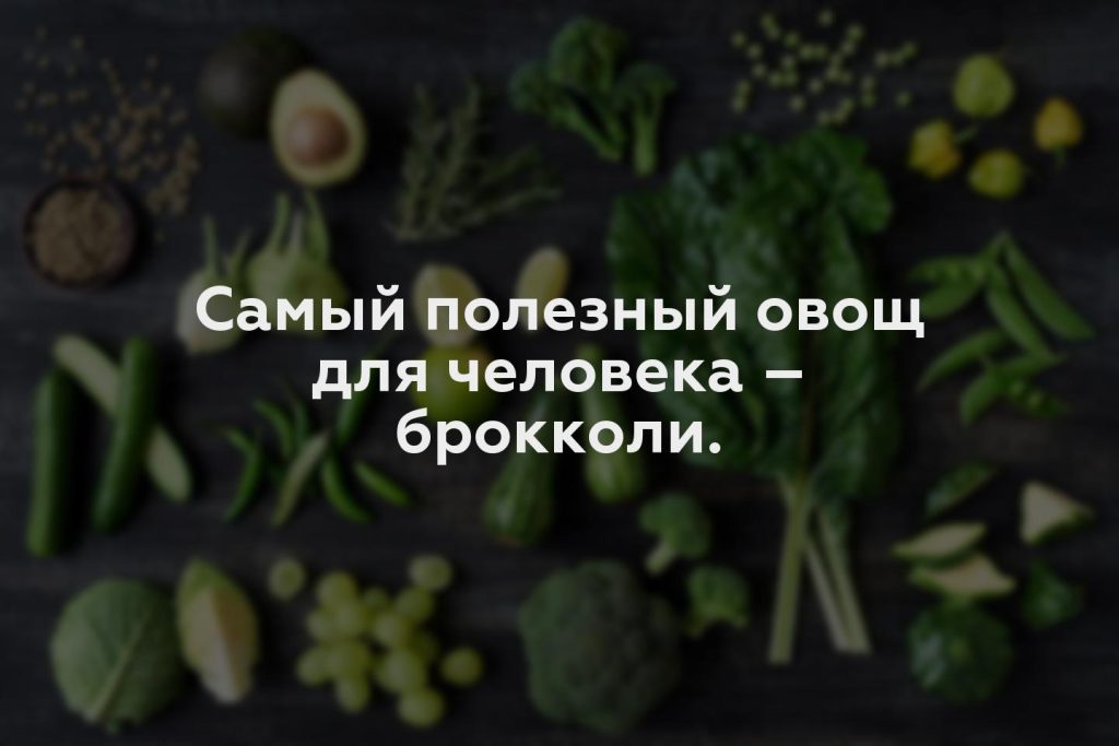 Самый полезный овощ для человека – брокколи.