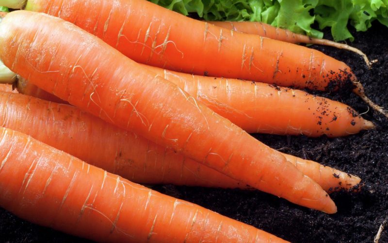 Сколько нужно есть морковки в день чтобы стать оранжевым?