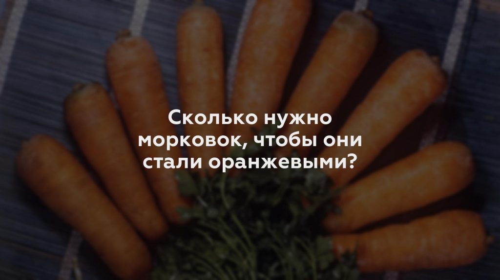 Сколько нужно морковок, чтобы они стали оранжевыми?