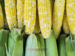 Сколько по времени надо варить кукурузу?