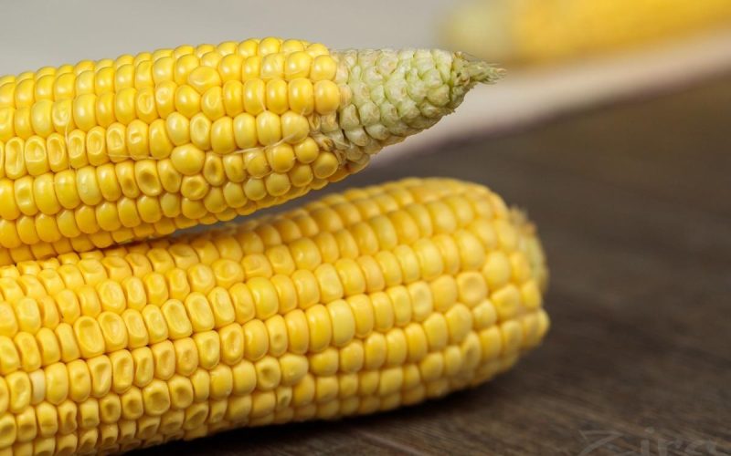 Сколько штук кукурузы можно есть в день?