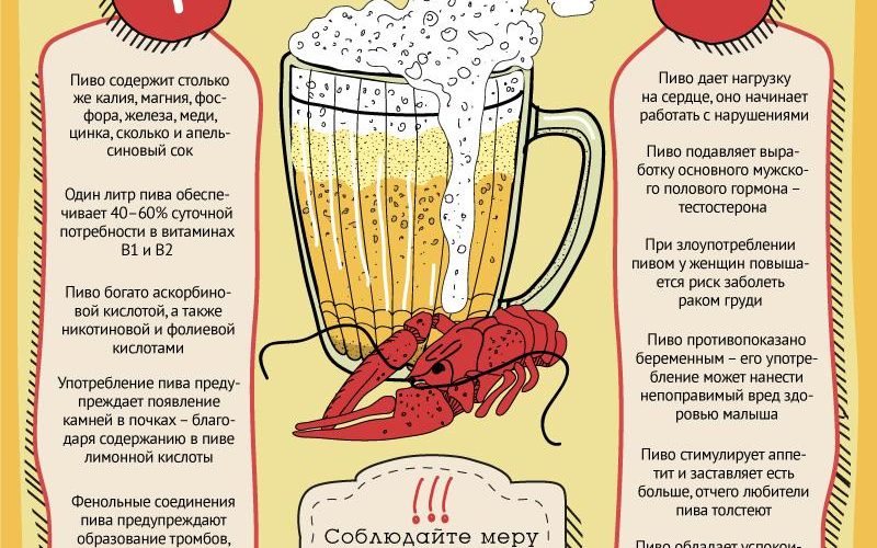 Сколько в день можно пить пиво?