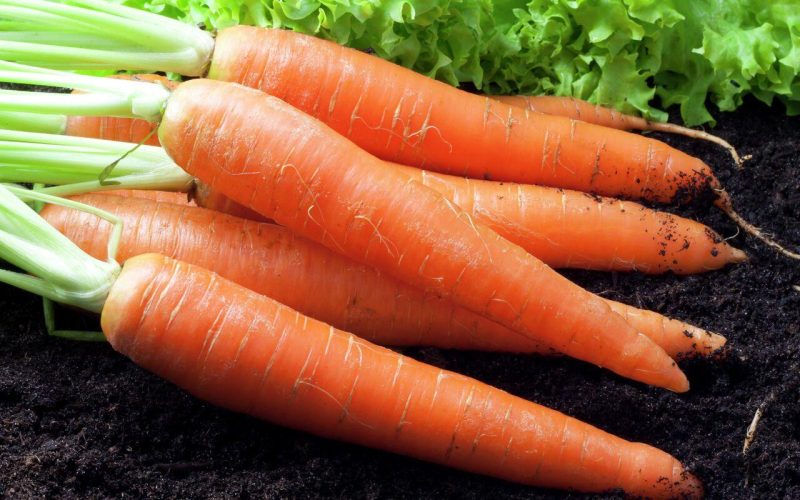 Сколько в день нужно съедать моркови?