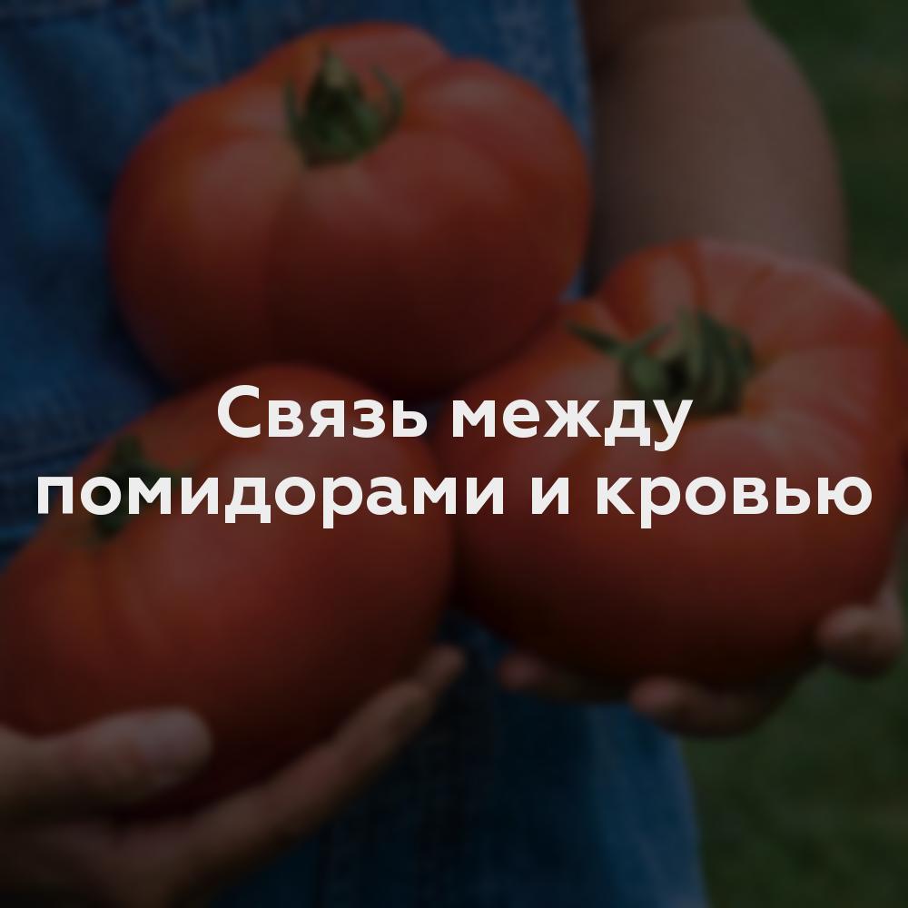 Связь между помидорами и кровью