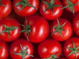 В чем разница между помидором и томатом?
