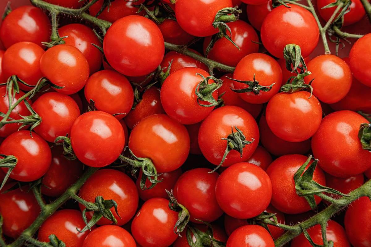 В каком виде лучше употреблять помидоры? - Nutritionhelp.ru