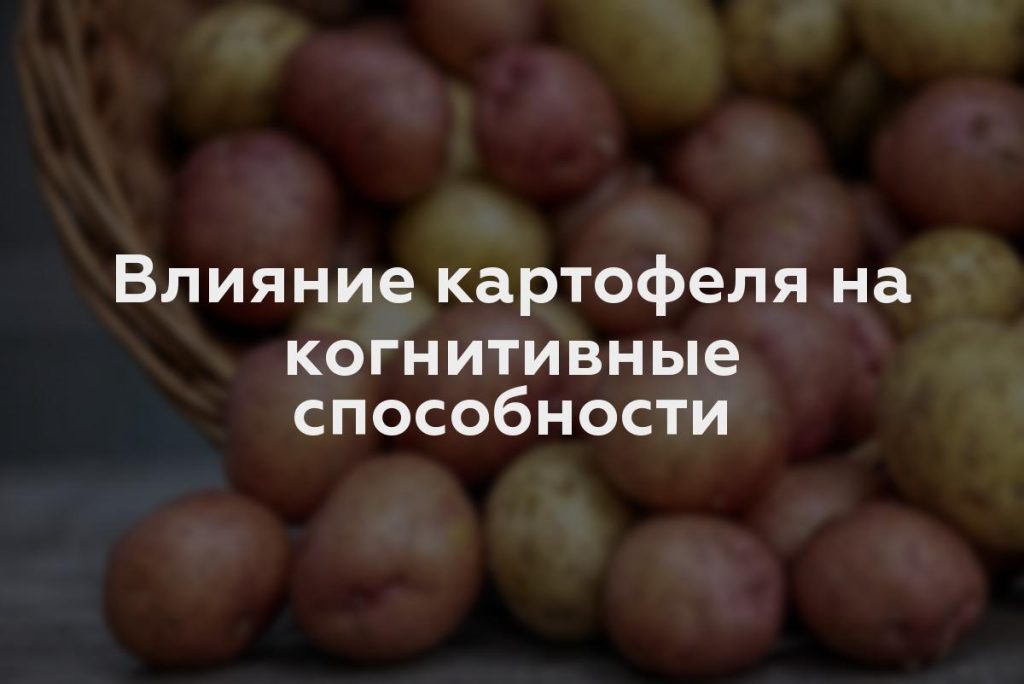 Влияние картофеля на когнитивные способности