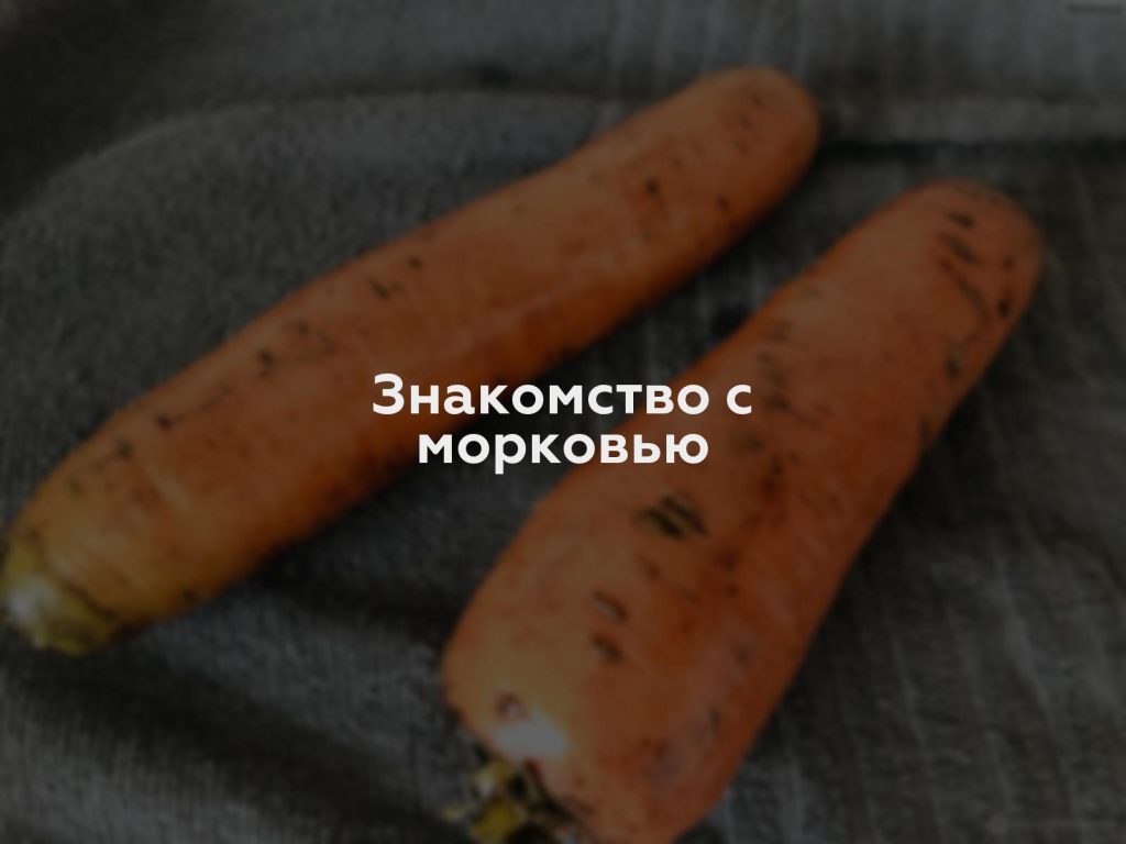 Знакомство с морковью